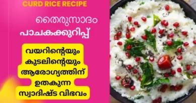 curd rice recipe