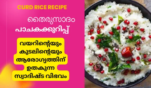 curd rice recipe