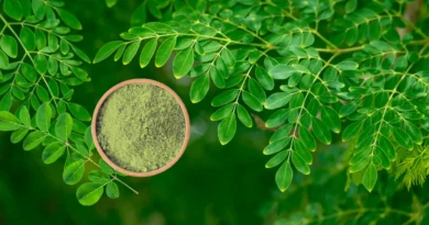 moringa